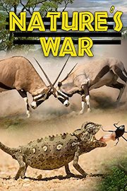 Nature's War