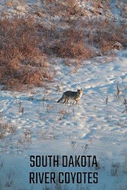 South Dakota River Coyotes