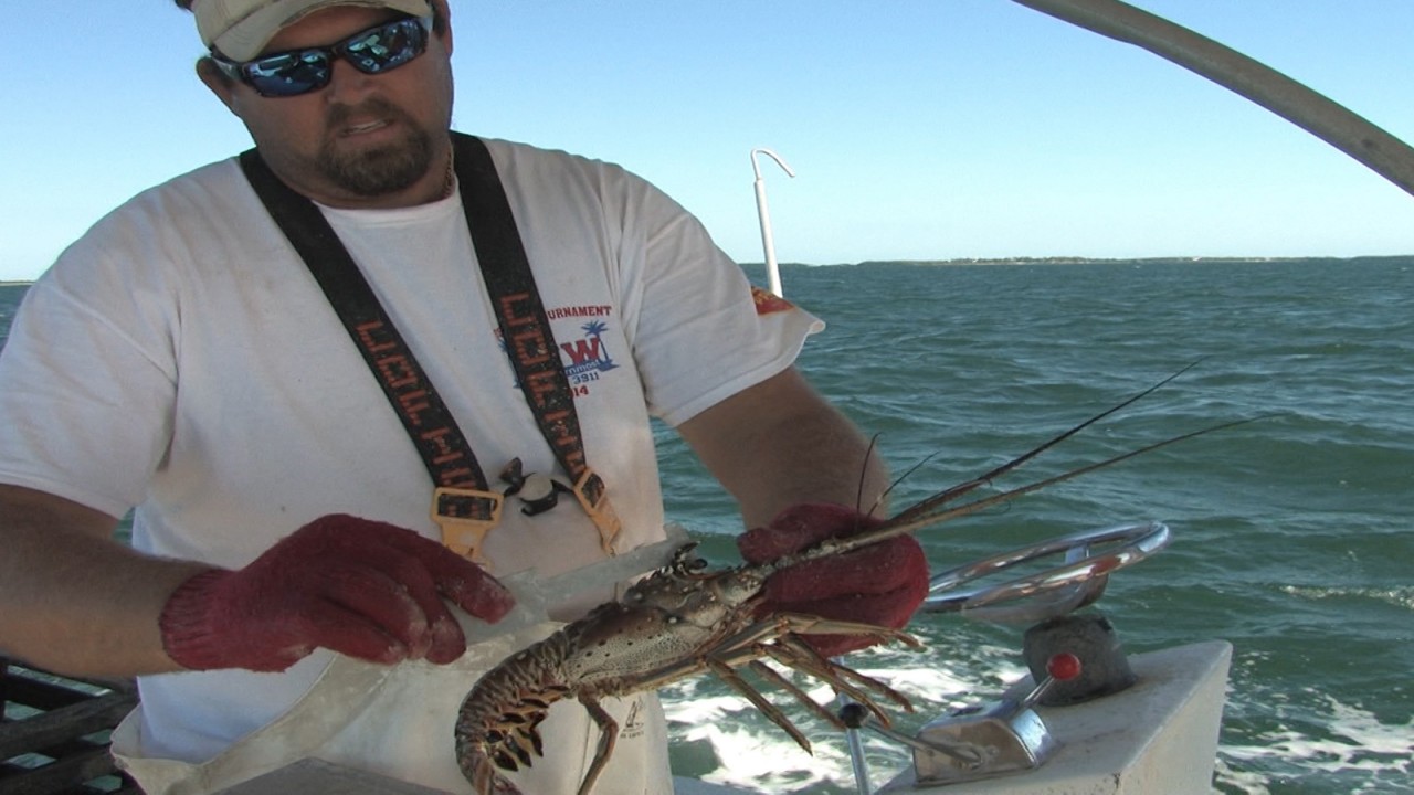 Reelin' In The Keys- Tails Up Charters