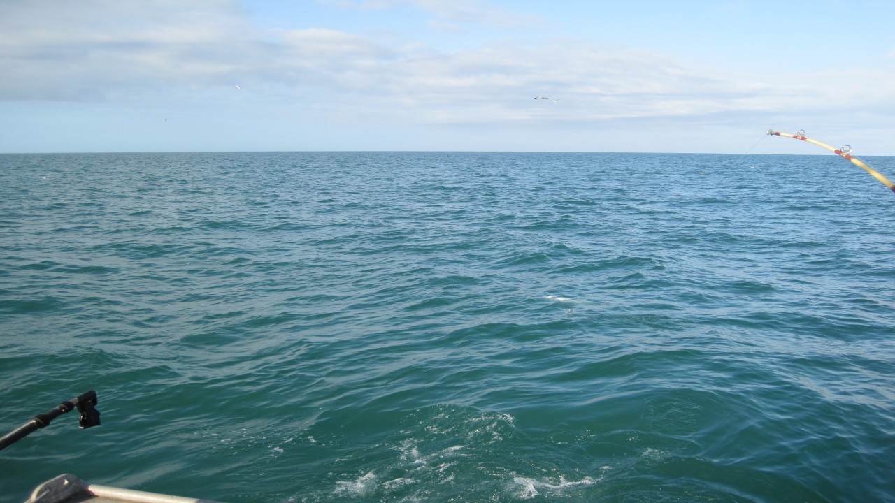 Reelin' In The Keys -Best Bet Tuna