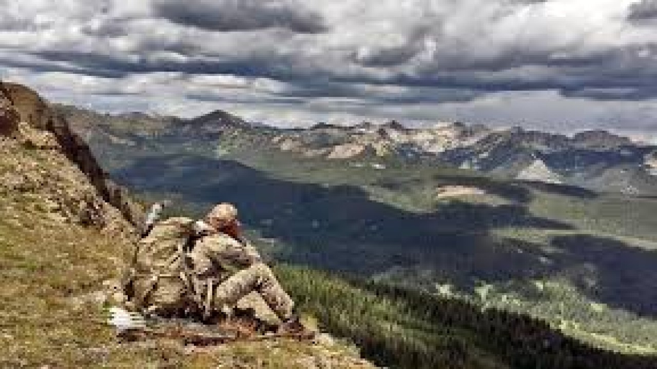 Longbow Mountain Goat by Solo Hntr