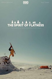 The Spirit of Flatness
