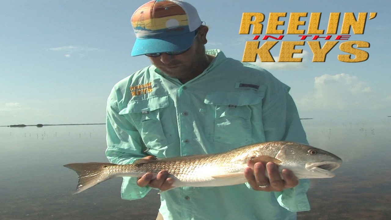 Reelin' In The Keys -First Choice Charters