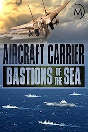 Aircraft Carrier: Bastions of the Sea