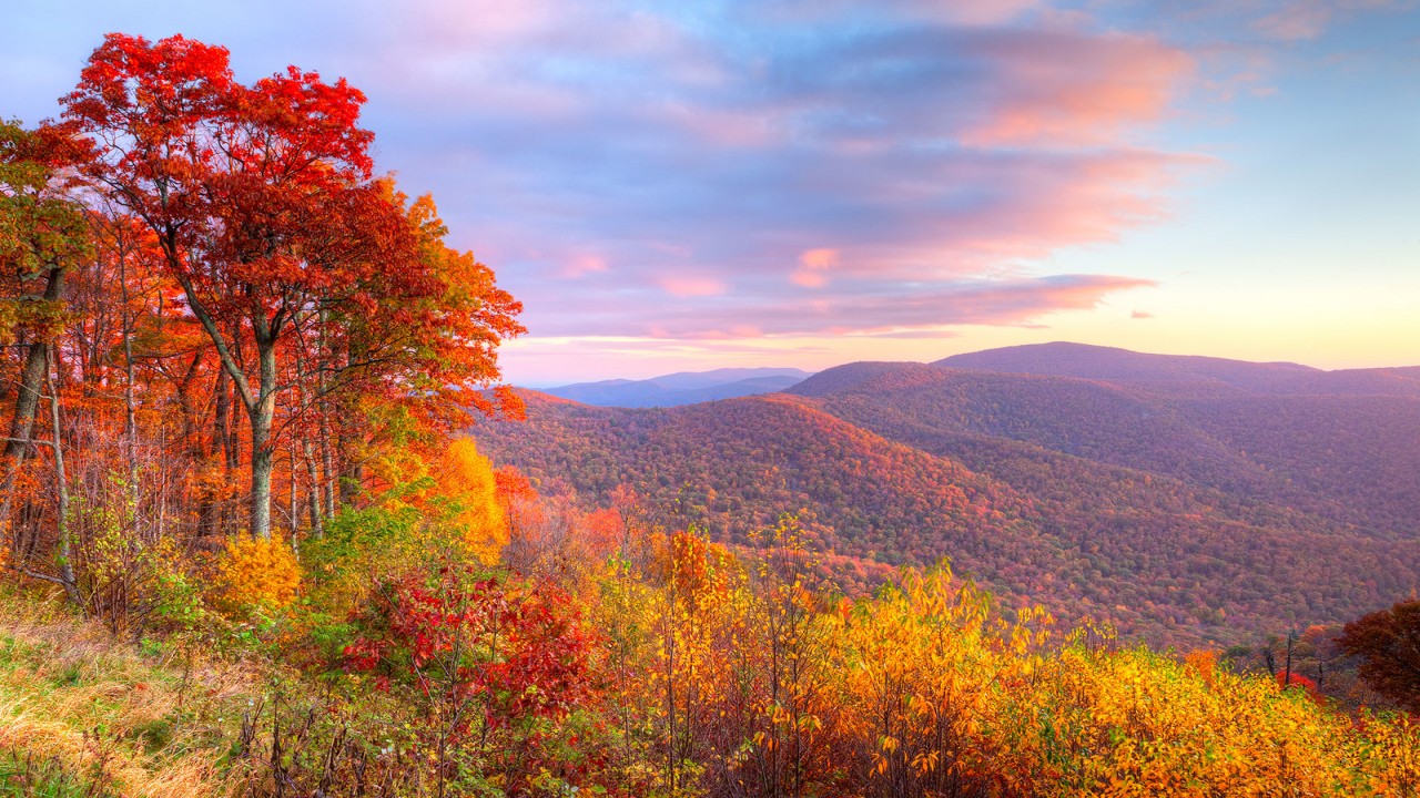 Living Landscapes HD Fall in New England