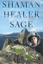 Shaman, Healer, Sage