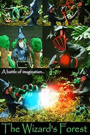 The Wizard's Forest