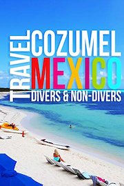 Travel Cozumel Mexico: Divers & Non-Divers