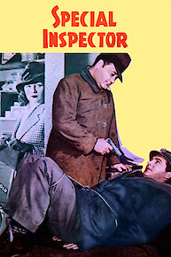 Special Inspector