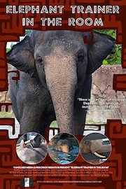 Elephant Trainer in the Room