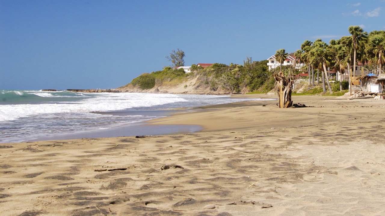 Globe Trekker: Jamaica