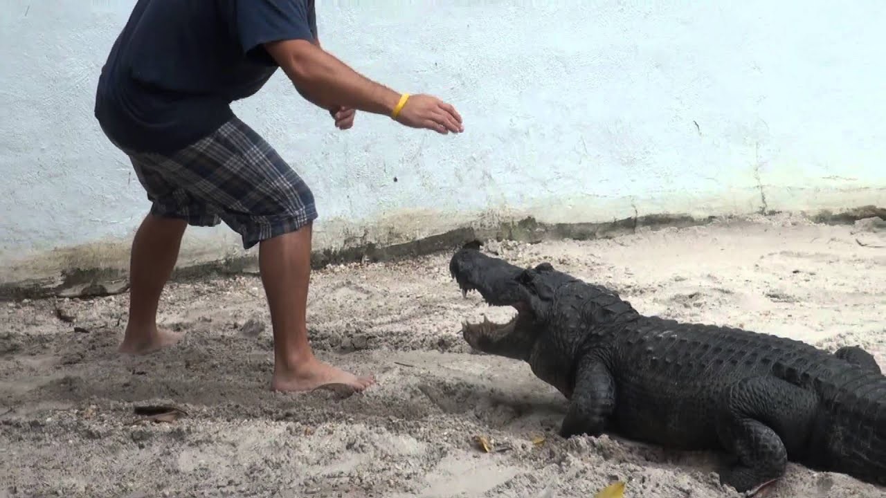 Globe Trekker: Florida & the Bahamas