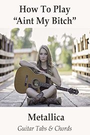 How To Play Aint My Bitch By Metallica - Guitar Tabs & Chords