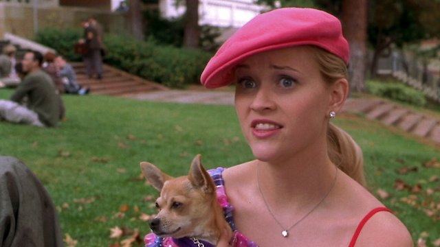 Watch Legally Blonde Online 2001 Movie Yidio 0502