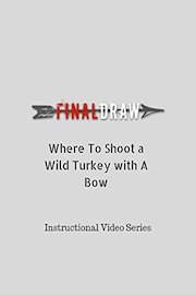 Where To Shoot a Wild Turkey with A Bow