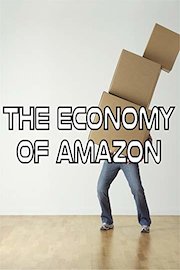 The Economy of Amazon