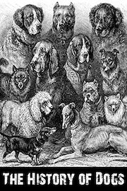 The History Of Dogs