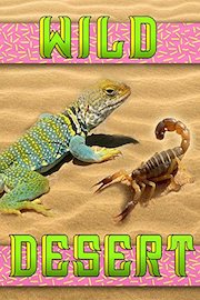 Wild Desert