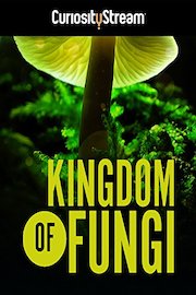 The Kingdom: How Fungi Made Our World