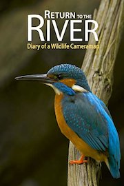 Return to the River - Diary of a Wildlife Cameraman