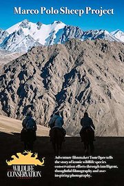 The Wildlife Conservation Project: Marco Polo Sheep