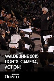 Waldbühne 2015 - Lights, camera, action!