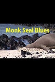 Monk Seal Blues