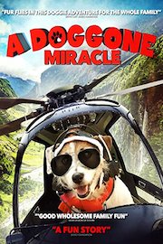 A Doggone Miracle