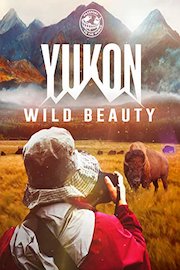 Yukon: Wild Beauty