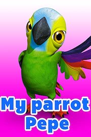 My parrot Pepe