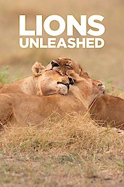 Lions Unleashed