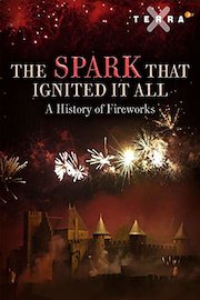 The Spark That Ignited it all - a History of Fireworks