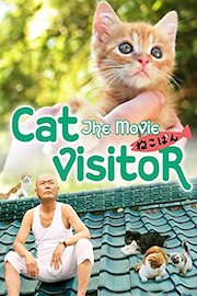 Cat Visitor: The Movie