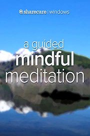 A Guided Mindful Meditation