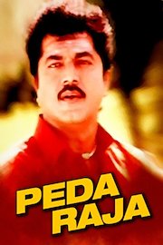 Peda Raja