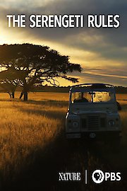 The Serengeti Rules