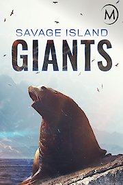 Savage Island Giants