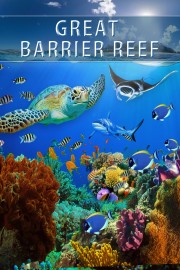Great Barrier Reef 4K