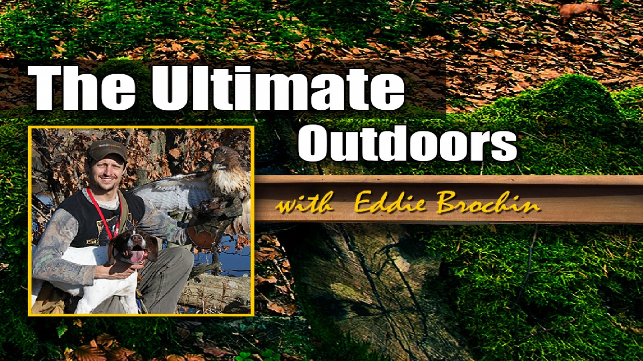 Outdoors with Eddie Brochin Last call Flathead Fishing on White River