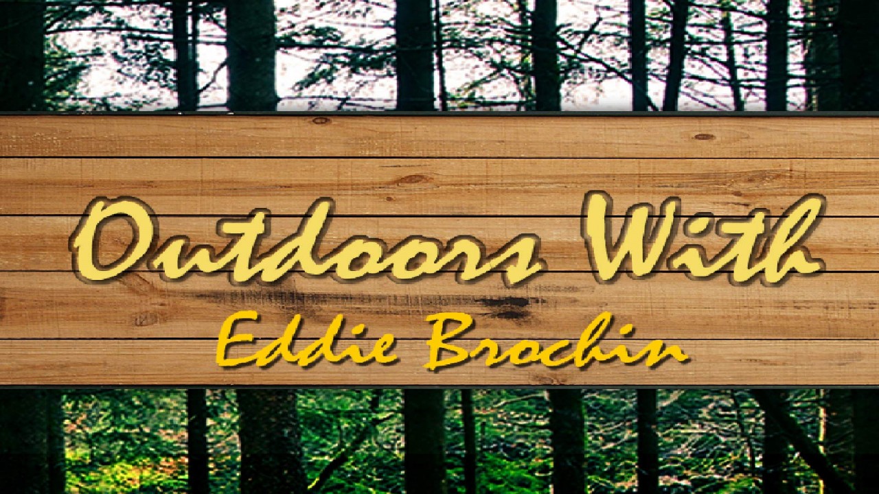 Outdoors with Eddie Brochin Counting Sheep Bow Hunts for Exotic Sheep in Texas Hill Country