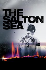 The Salton Sea