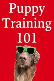 Puppy Training 101