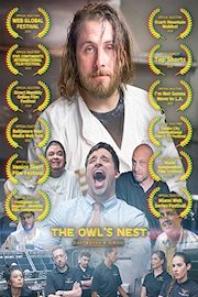 The Owl's Nest