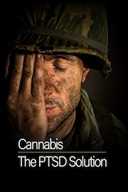 Cannabis: The PTSD Solution