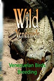 Wild Venezuela Venezuelan Birds Breeding