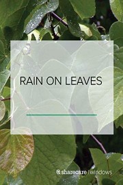 Rain On Leaves
