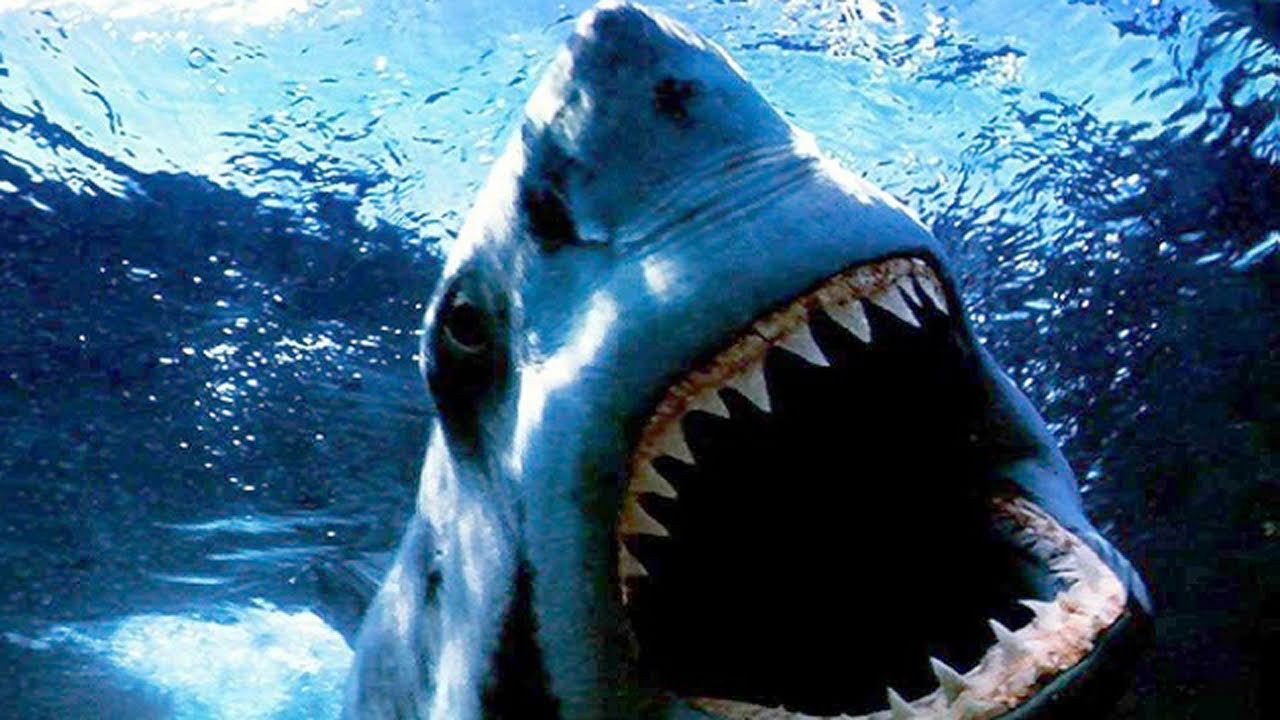 Shark Night: 10 Minute Preview