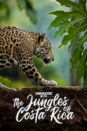 Animalogic Wild: Costa Rica