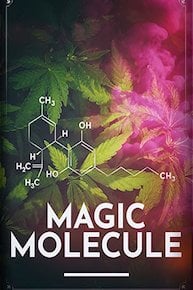 Magic Molecule