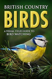 British Country Birds